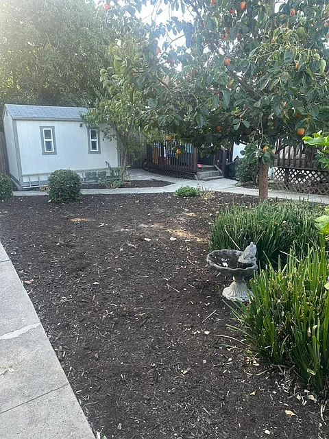 1 bed, $1,600 — Photo 1