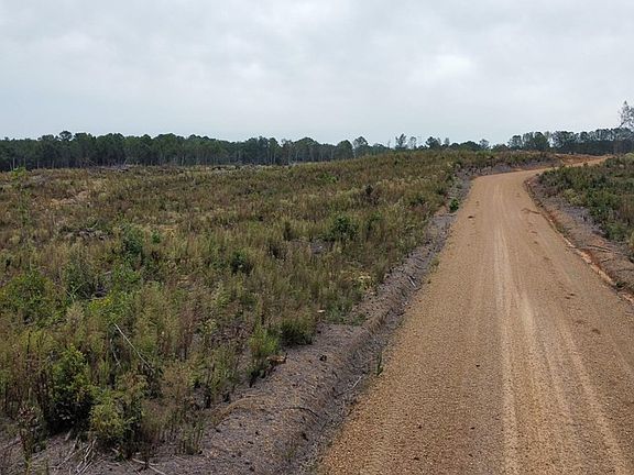 2nd image of 1 County Road 1115