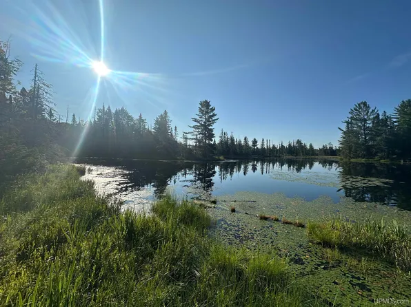 Lake Arvid Off Indian Lake Rd, Michigamme, MI 49861