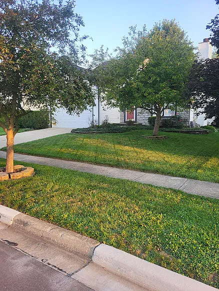 3 bed, 2.5 bath, 1726 sqft, $2,400 — Photo 2
