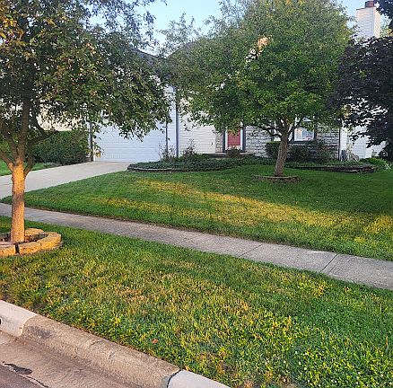 2nd image of 1192 Tarragon Dr