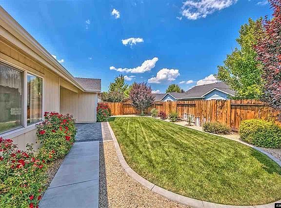Backyard #1