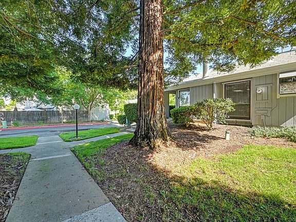 4th image of 3667 Gold Creek Ln