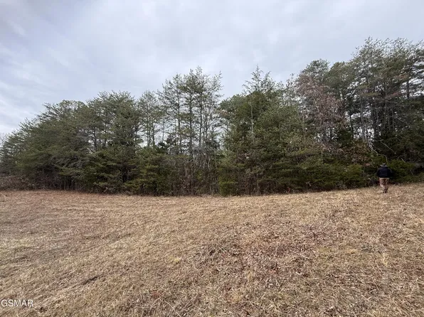 0 Off Allen Chapel Rd Lot 0, Parrottsville, TN 37843