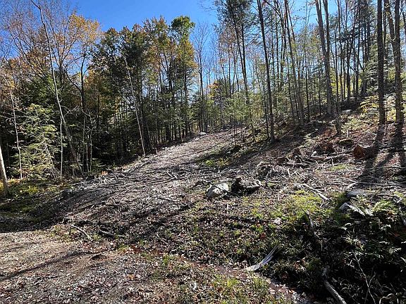 3rd image of Map 227 Lot 010 Underwood Road