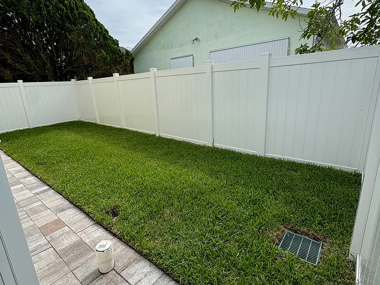 Back yard