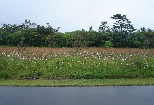1st image of Kaloli Dr Lot 3036