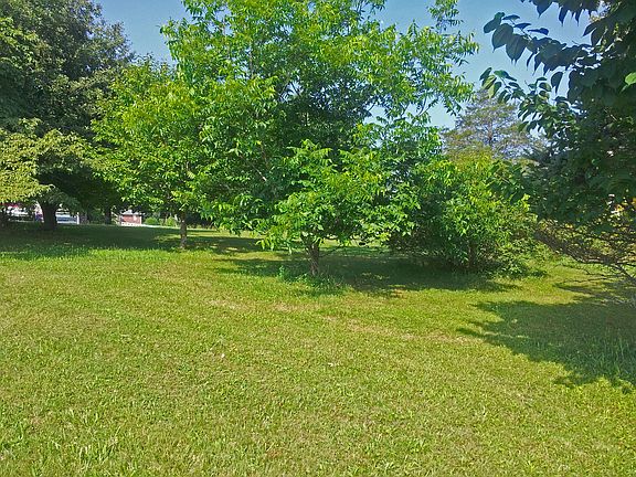3rd image of 109 Brice Wallace Ln