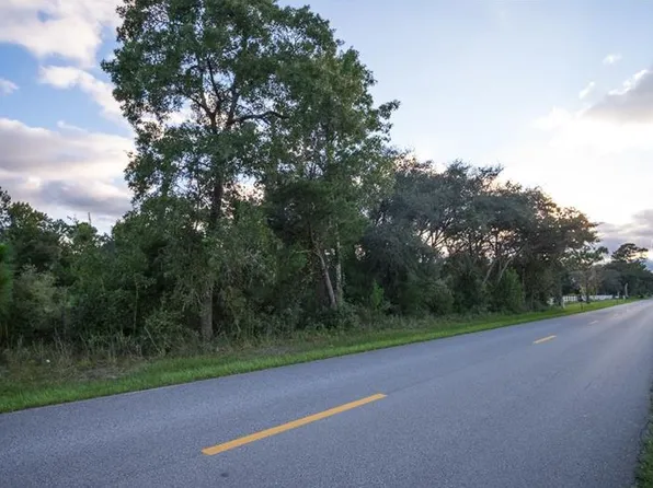 42031 Maggie Jones Rd, Paisley, FL 32767