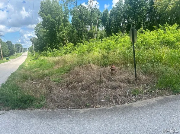 0 Tamarak Ln, Dexter, MO 63841