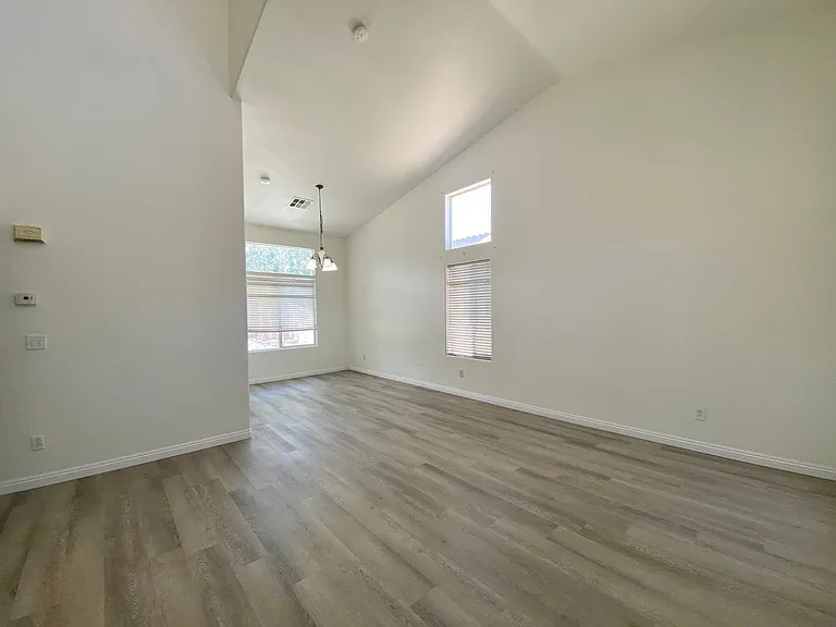 4033 Spring Line St — Photo 6