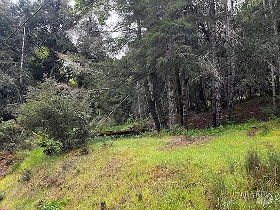 5th image of 24403 Cypress Drive