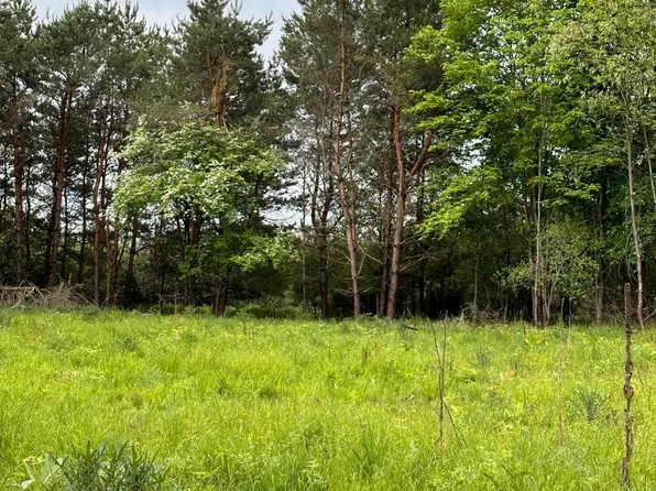 16625 Canyon Cv, Big Rapids, MI 49307