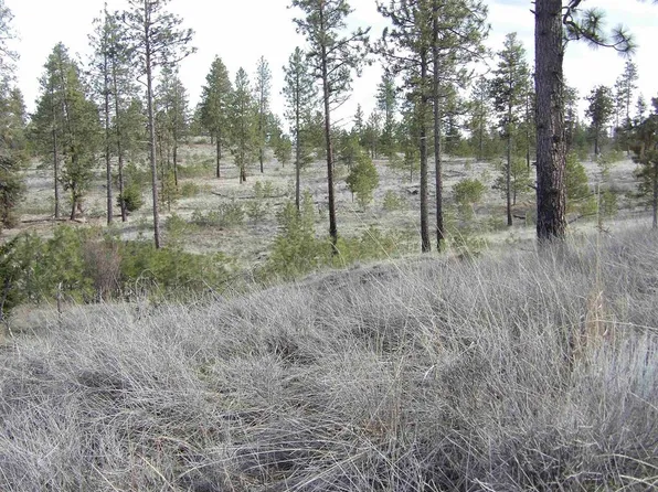 LOT 2 Pine Hen Ln E, Davenport, WA 99122