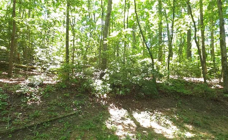 1774 Joe Black Rd — Photo 19