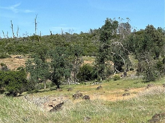 5th image of 0 Round Valley Ranch Rd