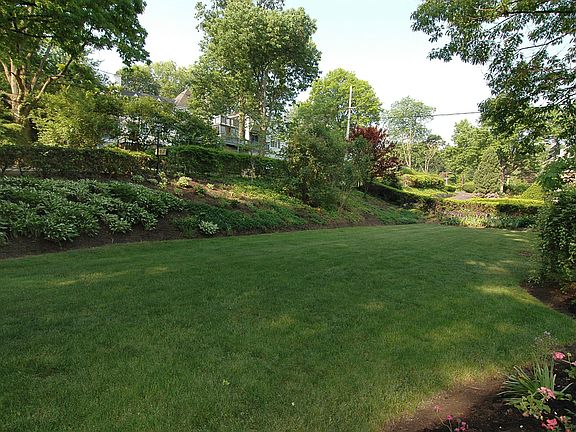 Front Yard