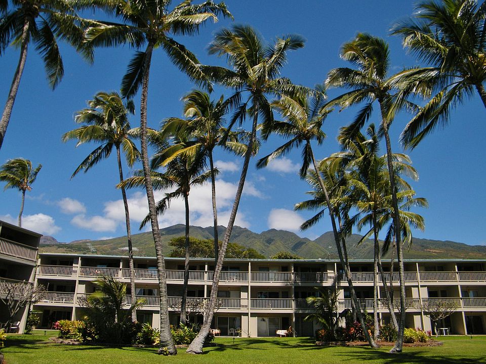 1st image of 7142 Kamehameha V Hwy #C203