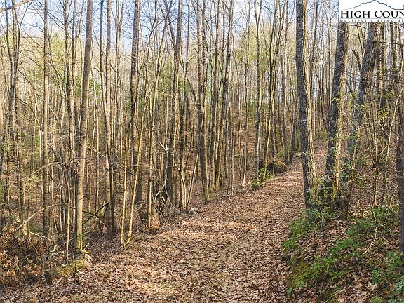 2nd image of TBD Lot 2 All Healing Springs Road