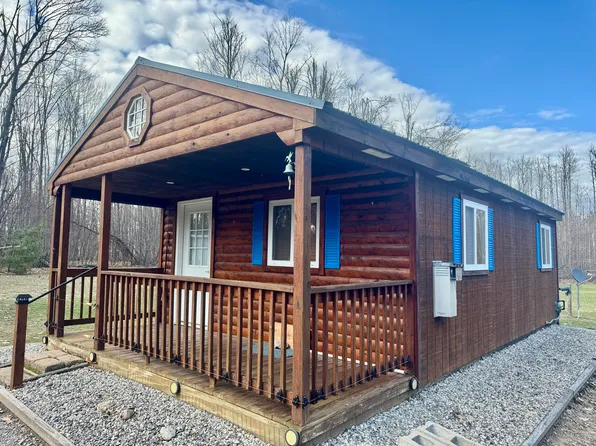 1304 Tabitha Trl, Mio, MI 48647