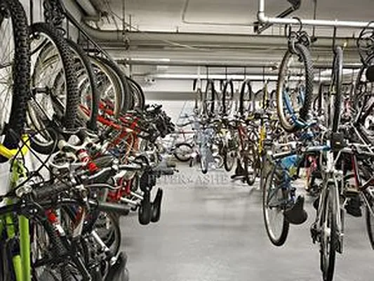 Rented by Peter Ashe | media 50