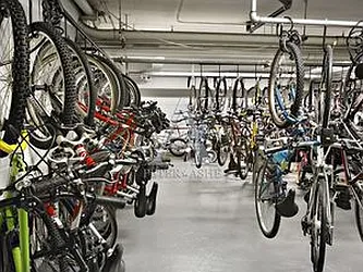 Rented by Peter Ashe