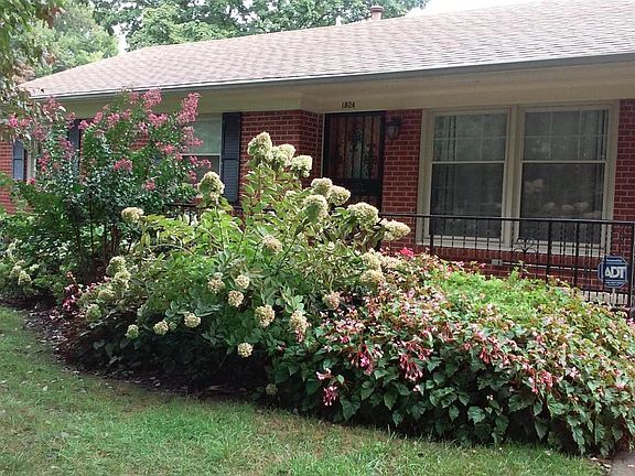 close up front with flowers