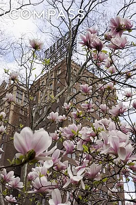 Rented by Compass | media 18