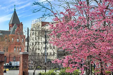 Rented by Douglas Elliman