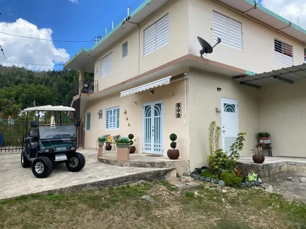 69 Luis M Alfaro, Orocovis, PR 00720