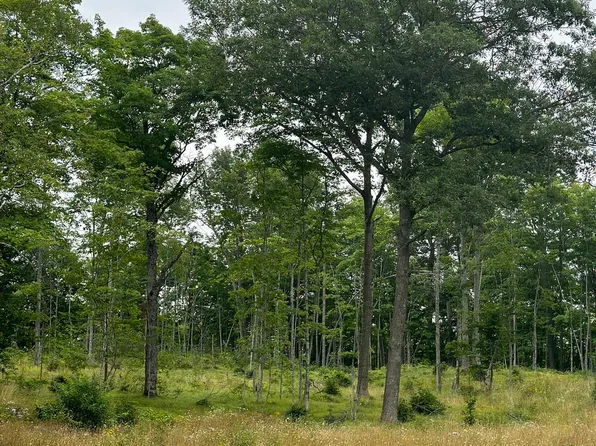 County Road 496 #B, Champion, MI 49814