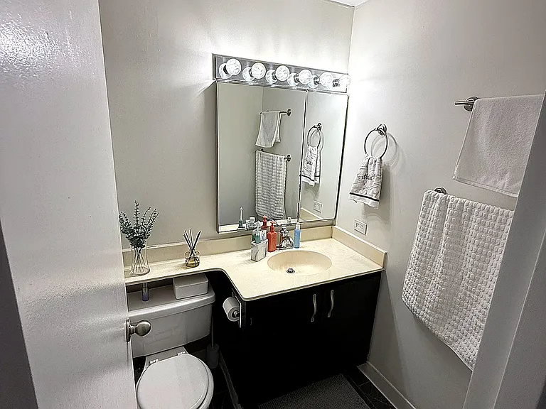 1122 N Clark St #3005 — Photo 10