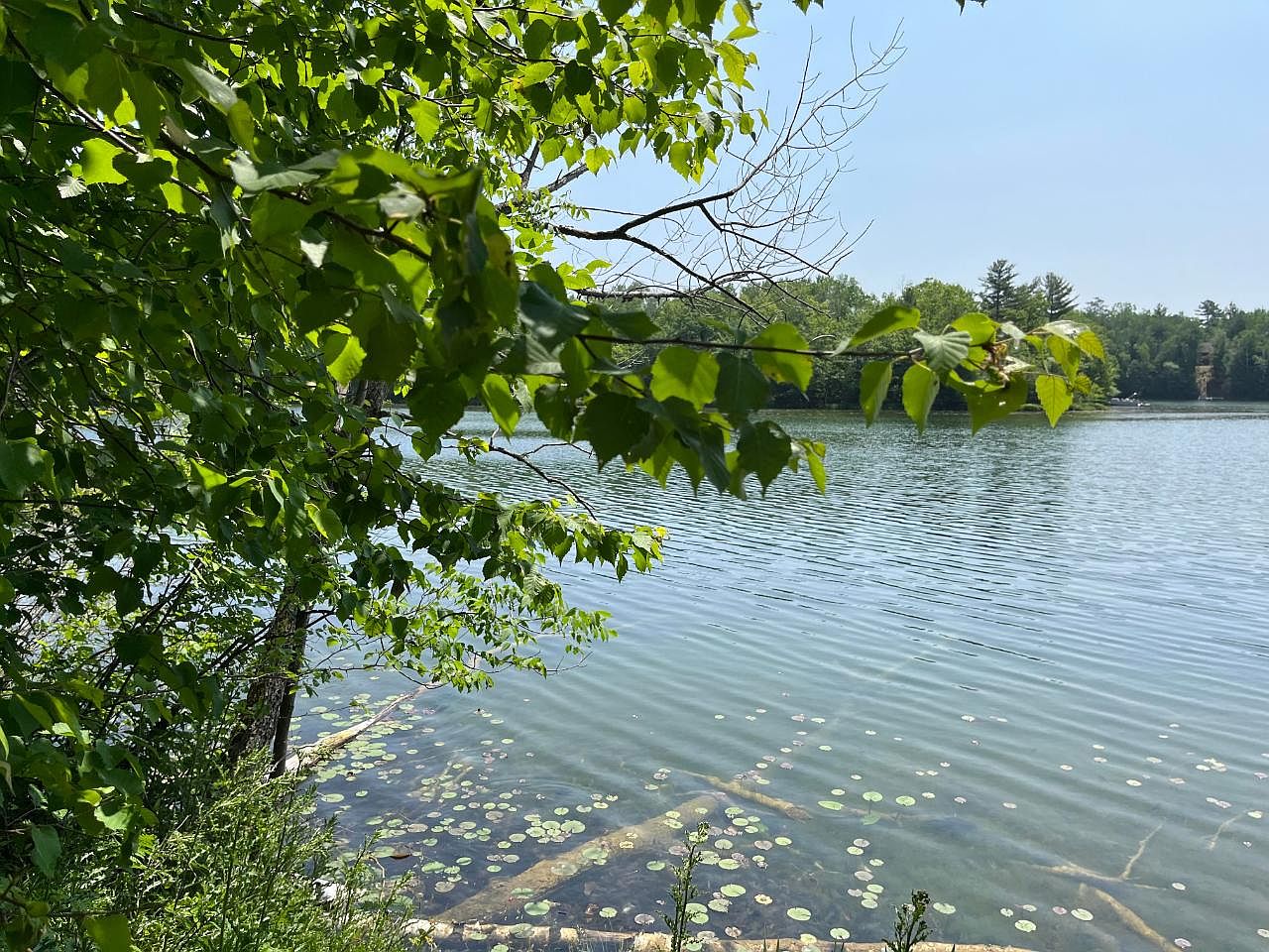 On Winslow Lake Ln, Mountain, WI 54149 MLS 201083 Zillow