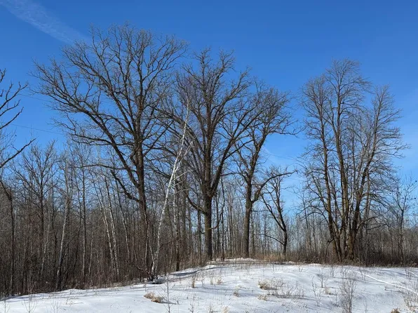 15A Hines Rd, Blackduck, MN 56630