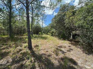 796 Fisher Rd, Ocklawaha, FL 32179