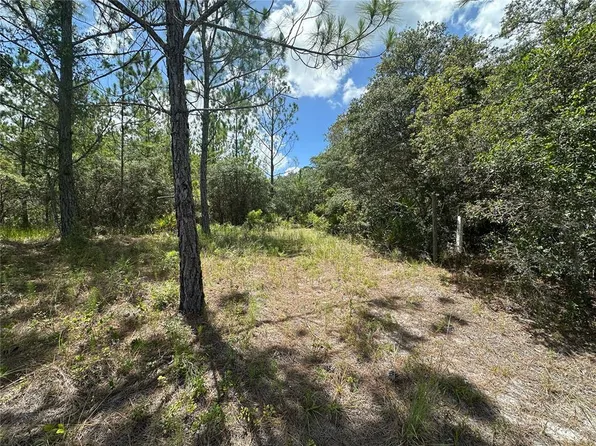 796 Fisher Rd, Ocklawaha, FL 32179