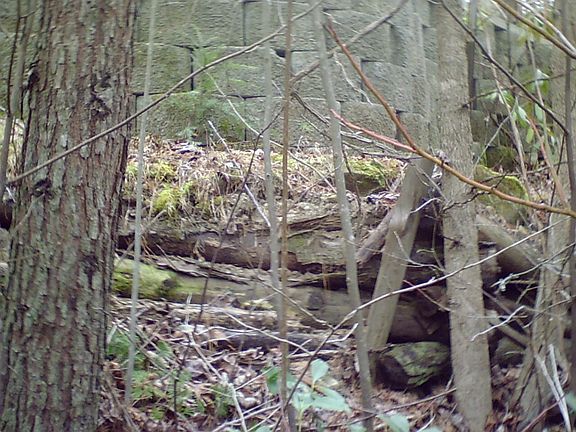 5th image of 66 Water St