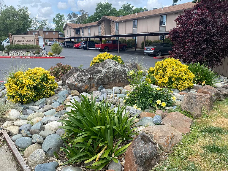 Forest Creek — Photo 18