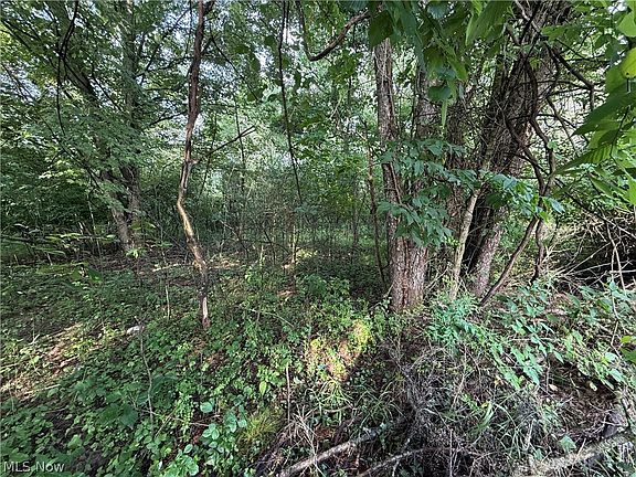 2nd image of 15 Cayuse Trl