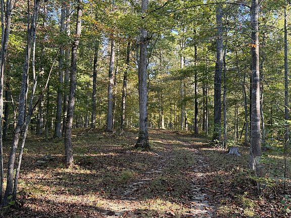 3rd image of 1 Caney Fork Rd