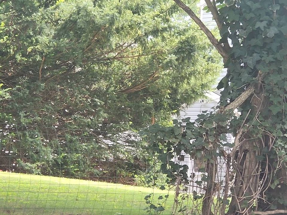 2nd image of 2 Fanwood Pl