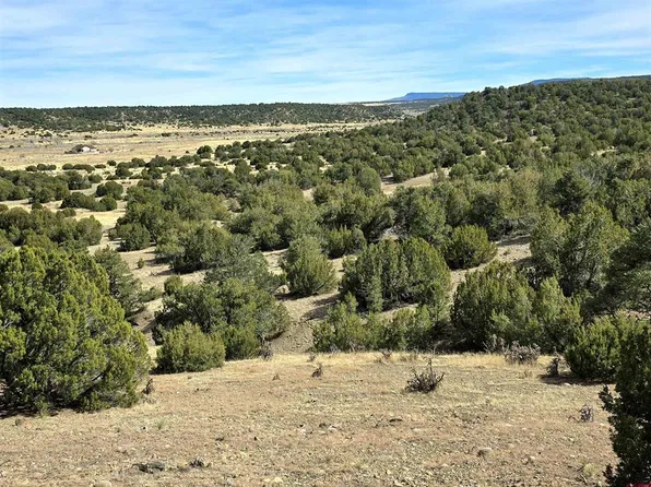 Lot 21 of 13565 Bat Masterson, Trinidad, CO 81082