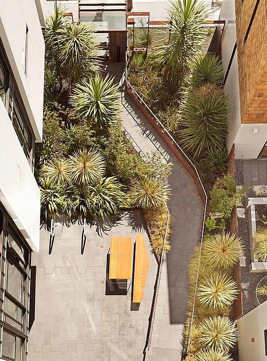 1st image of 300 Ivy St #505