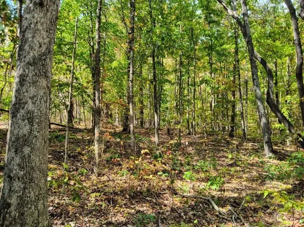 0 State Route 8, Dunlap, TN 37327