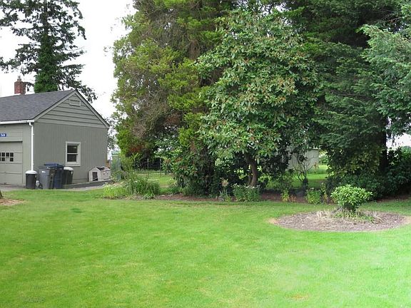 Front View Panorama