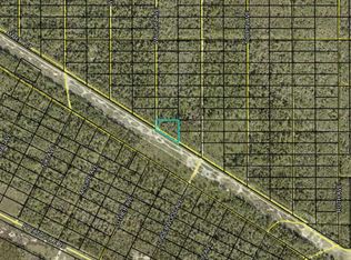 Vaughn Avenue Lot #330, Hastings, FL 32145