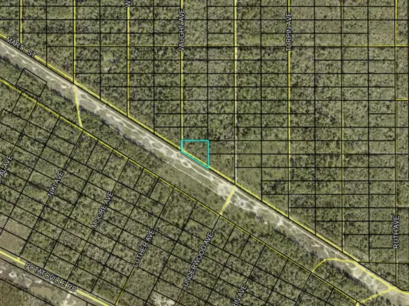Vaughn Avenue Lot #330, Hastings, FL 32145