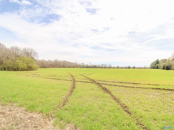 O'Wooley Springs Rd, Athens, AL 35613