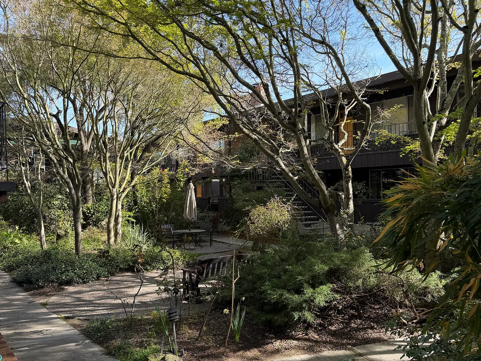 Ponderosa Apartments — Photo 2