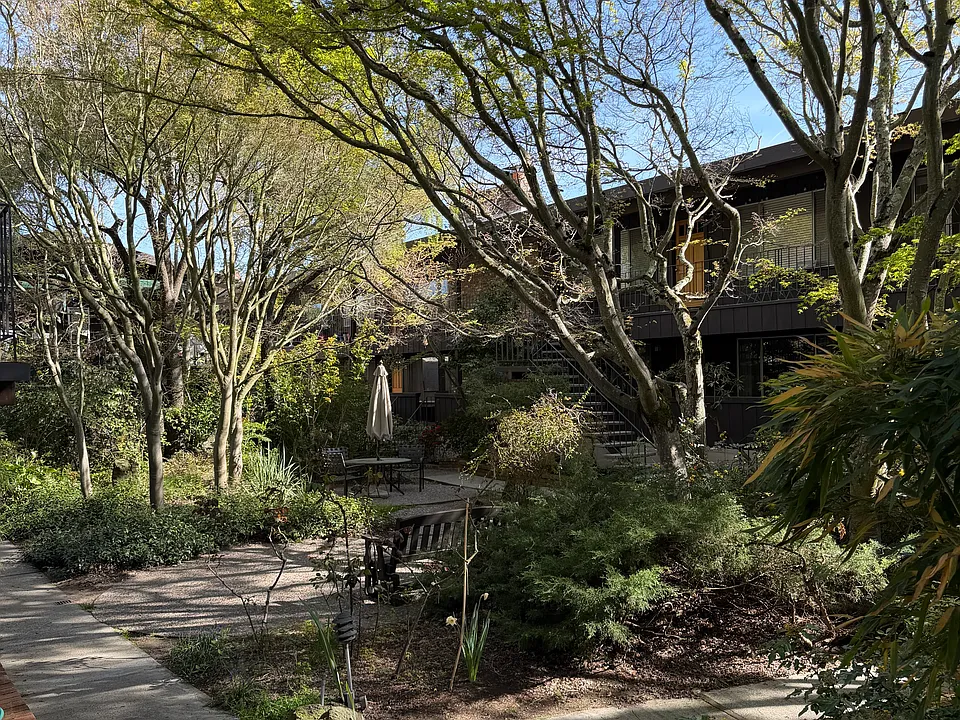 Ponderosa Apartments